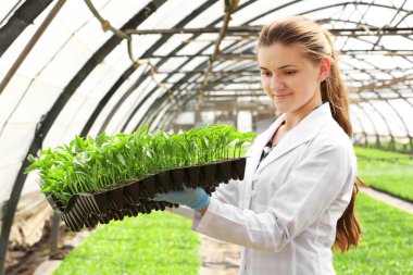 Kadın çiftçi çalışma 