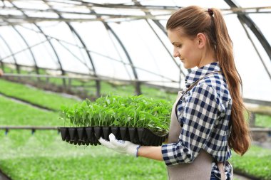 Kadın çiftçi çalışma 