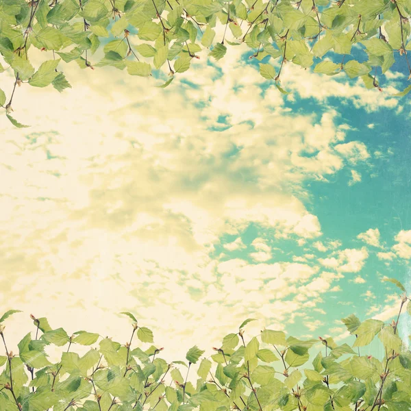 Vintage φωτογραφία με πράσινα φύλλα και ουρανός — Φωτογραφία Αρχείου