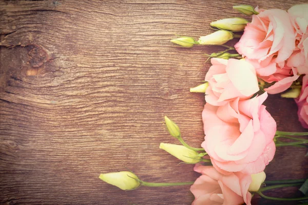 Composição com flores frescas — Fotografia de Stock