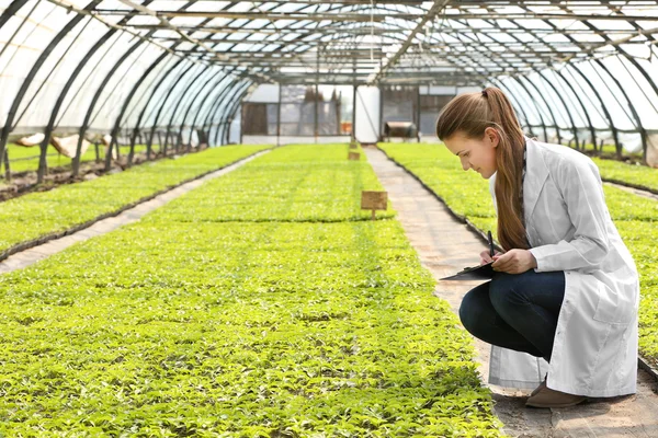 Trabalhadora agricultora — Fotografia de Stock