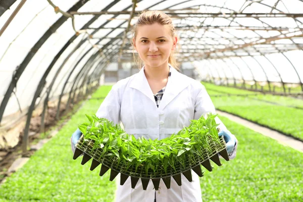 Trabalhadora agricultora — Fotografia de Stock