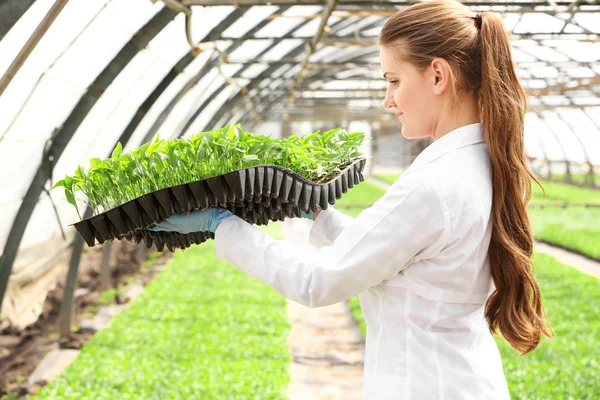 Trabalhadora agricultora — Fotografia de Stock