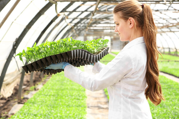 Working female farmer 