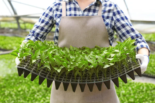 Agricultora no trabalho — Fotografia de Stock