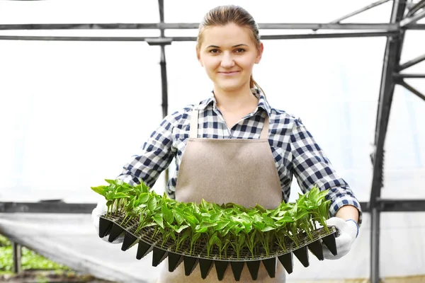 Lavoratrici contadine — Foto Stock