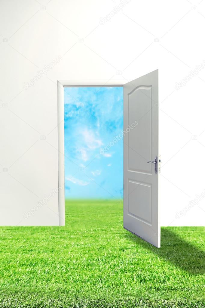 Open door and green meadow 
