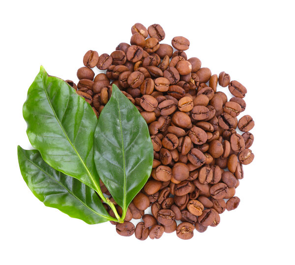 Coffee beans and green leaves