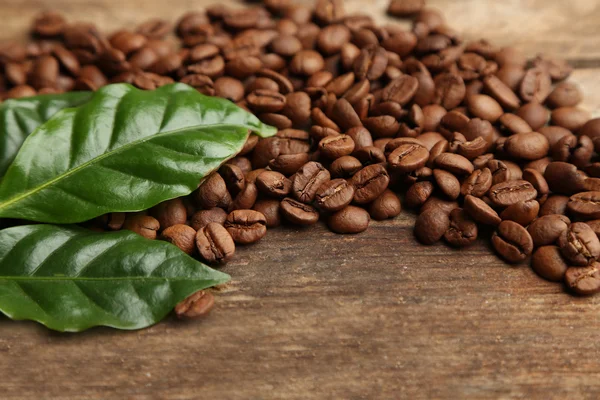 Kaffeebohnen und grüne Blätter — Stockfoto