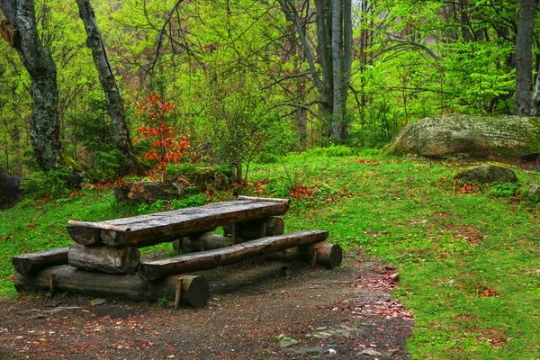 Viloplats i skogen — Stockfoto