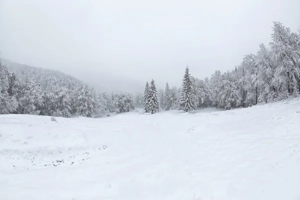 Krásná zimní krajina — Stock fotografie