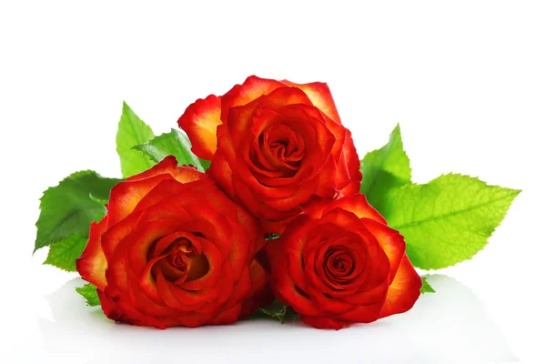 三个橙色玫瑰 — 图库照片