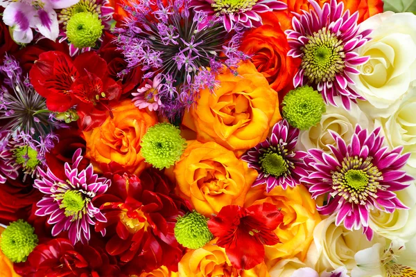 Colorful flowers background — Stock Photo, Image