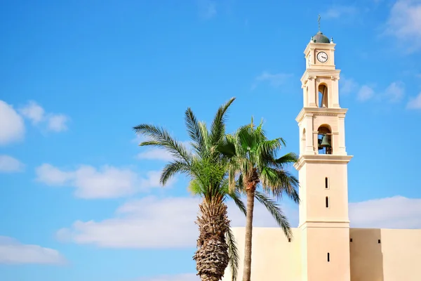 Wieża zegarowa i palmy — Zdjęcie stockowe
