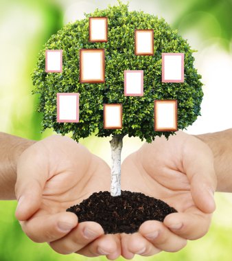 Aile ağacı holding eller 