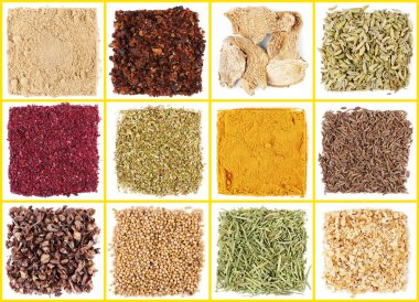 farklı baharat seti 