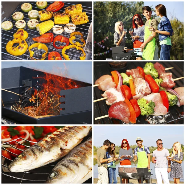 Collage Young People Picnic — Stock Photo, Image