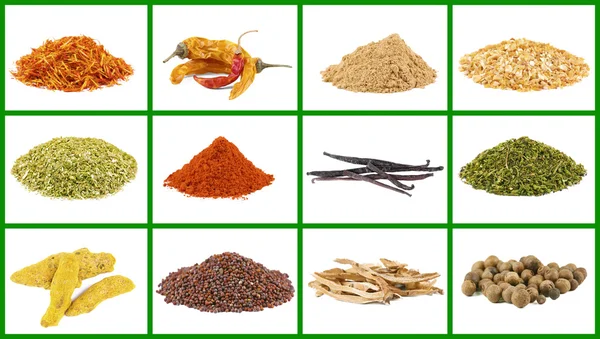 Set of different spices — Stock Photo, Image