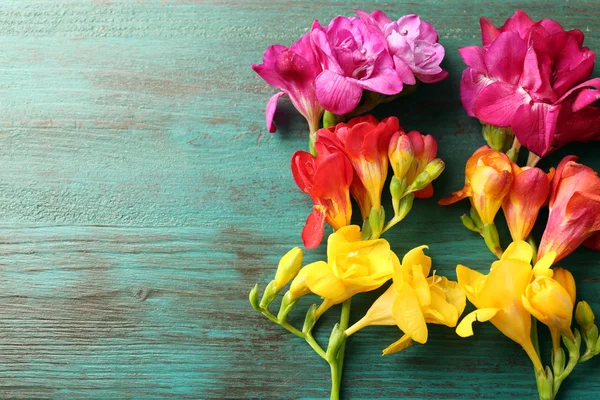 Belles fleurs freesias — Photo