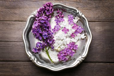 Taze leylak çiçekleri   