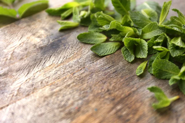 Fresh mint leaves — Stock Photo, Image