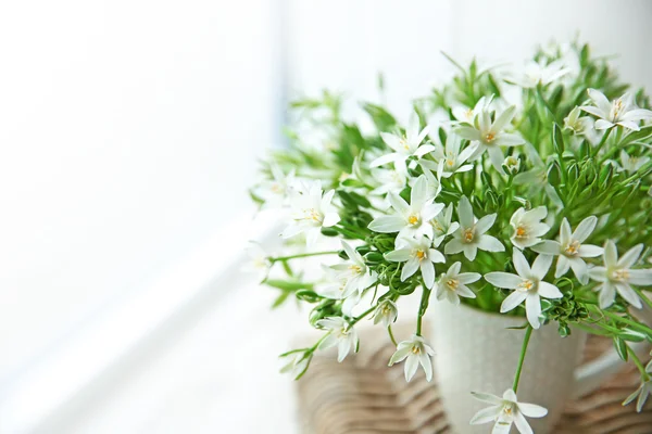 Pequeñas flores blancas — Foto de Stock