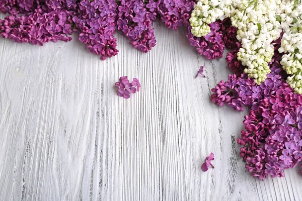 Fresh tender lilac — Stock Photo, Image