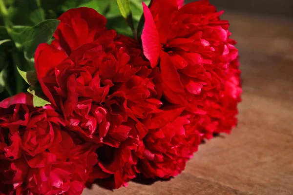 新鲜的红色花束 — 图库照片