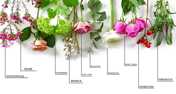 Beautiful various flowers — Stock Photo, Image