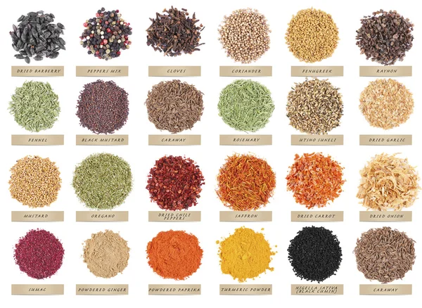 Farklı baharat seti — Stok fotoğraf