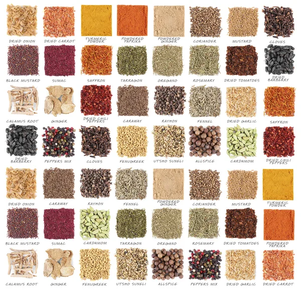 Set of different spices — Stock Photo, Image