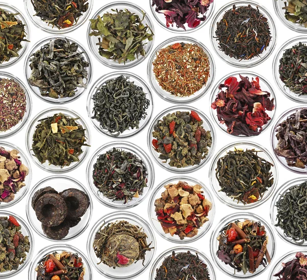 Set of different tea in bowls — Stock Photo, Image