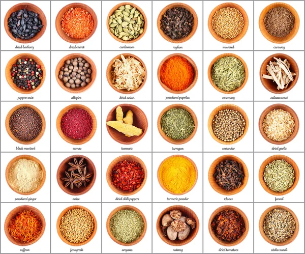 Collection of different spices — Stock Photo, Image