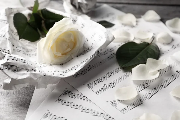 Piękna róża na muzyka, nuty — Zdjęcie stockowe