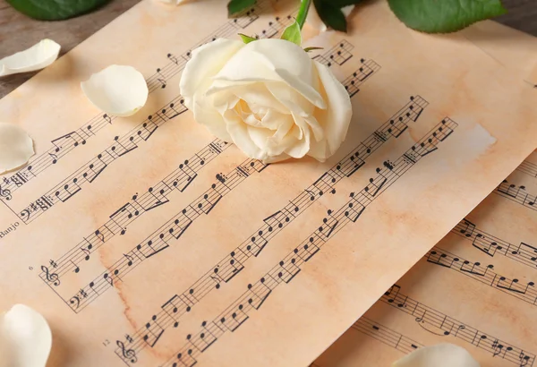 Belle rose sur les feuilles de musique — Photo