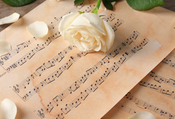 Beautiful rose on music sheets 
