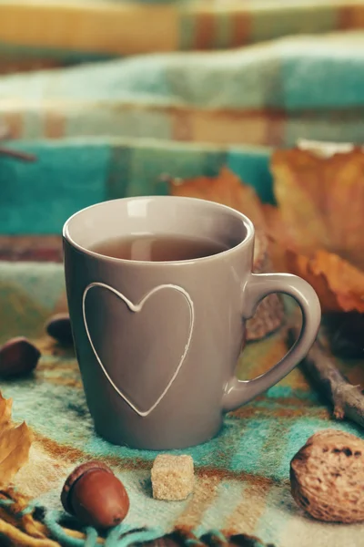 Tasse de thé avec décor d'automne — Photo