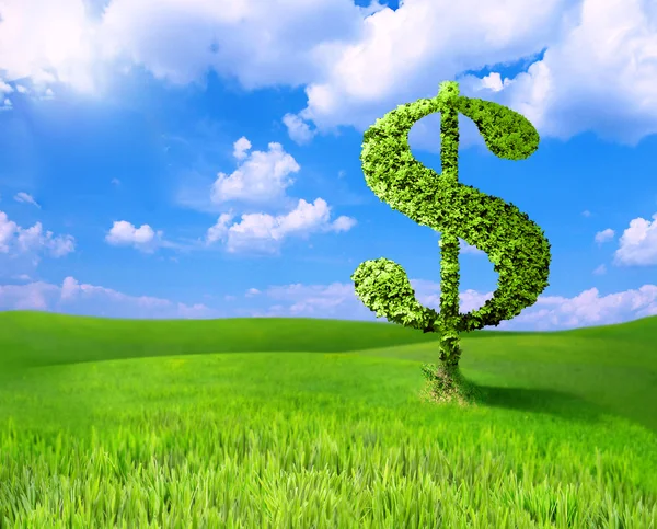 Dollar sign made of tree leaves — Stock Photo, Image