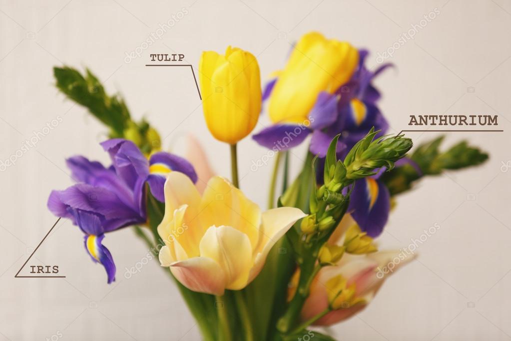 Blumen Namen Mit Bild Bilder Tropische Bluten 01 01