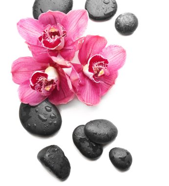 Spa taşlar ve güzel pembe orkide