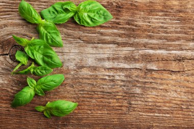 taze fesleğen yaprağı