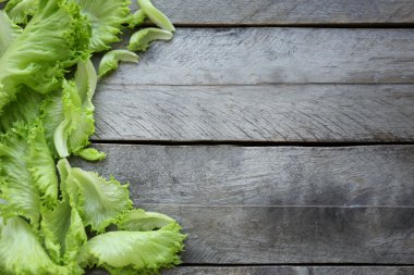 taze salata yaprakları