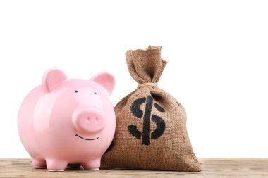 Para ve domuz servet ile çuval