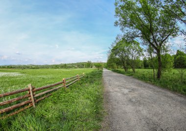 Güneş ışığı ile yeşil çayır