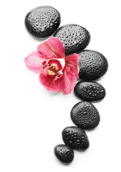 Spa 石头和美丽的粉红色兰花 — 图库照片