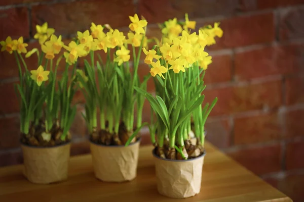 Beautiful narcissus on the table — Stock Photo, Image