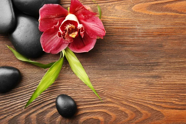 Beautiful spa composition with stones — Stock Photo, Image