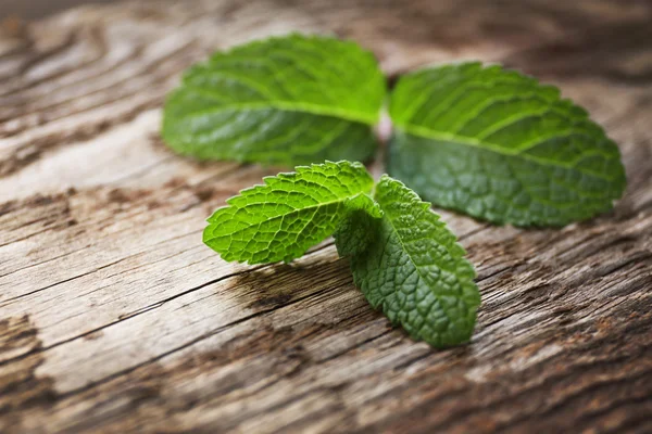 Fresh mint leaves — Stock Photo, Image