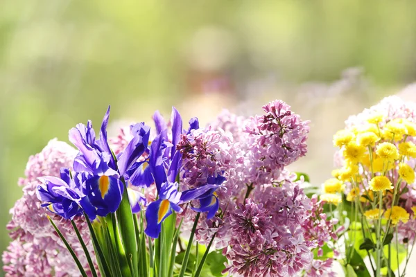 Flores frescas de primavera — Foto de Stock