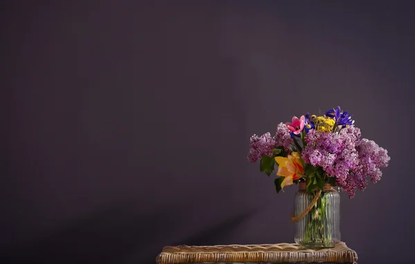 Frische Frühlingsblumen — Stockfoto